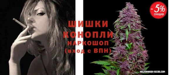 PSILOCYBIN Новодвинск