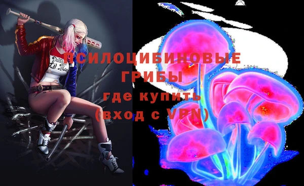 PSILOCYBIN Новодвинск