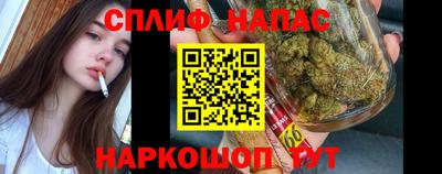 ПСИЛОЦИБИНОВЫЕ ГРИБЫ Донской