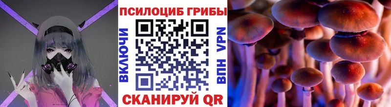 Псилоцибиновые грибы Psilocybe  где можно купить наркотик  Тюмень 