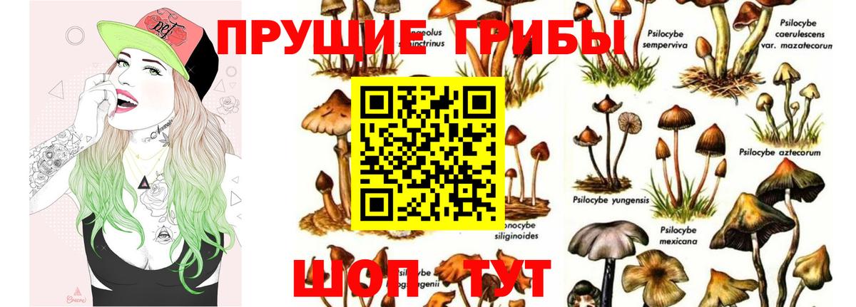 Тюмень  Галлюциногенные грибы Psilocybine cubensis  Вход с VPN 